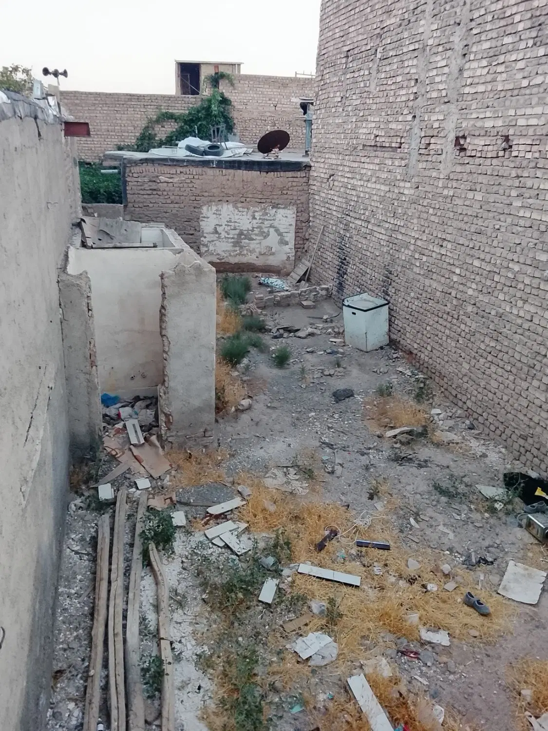 زمین