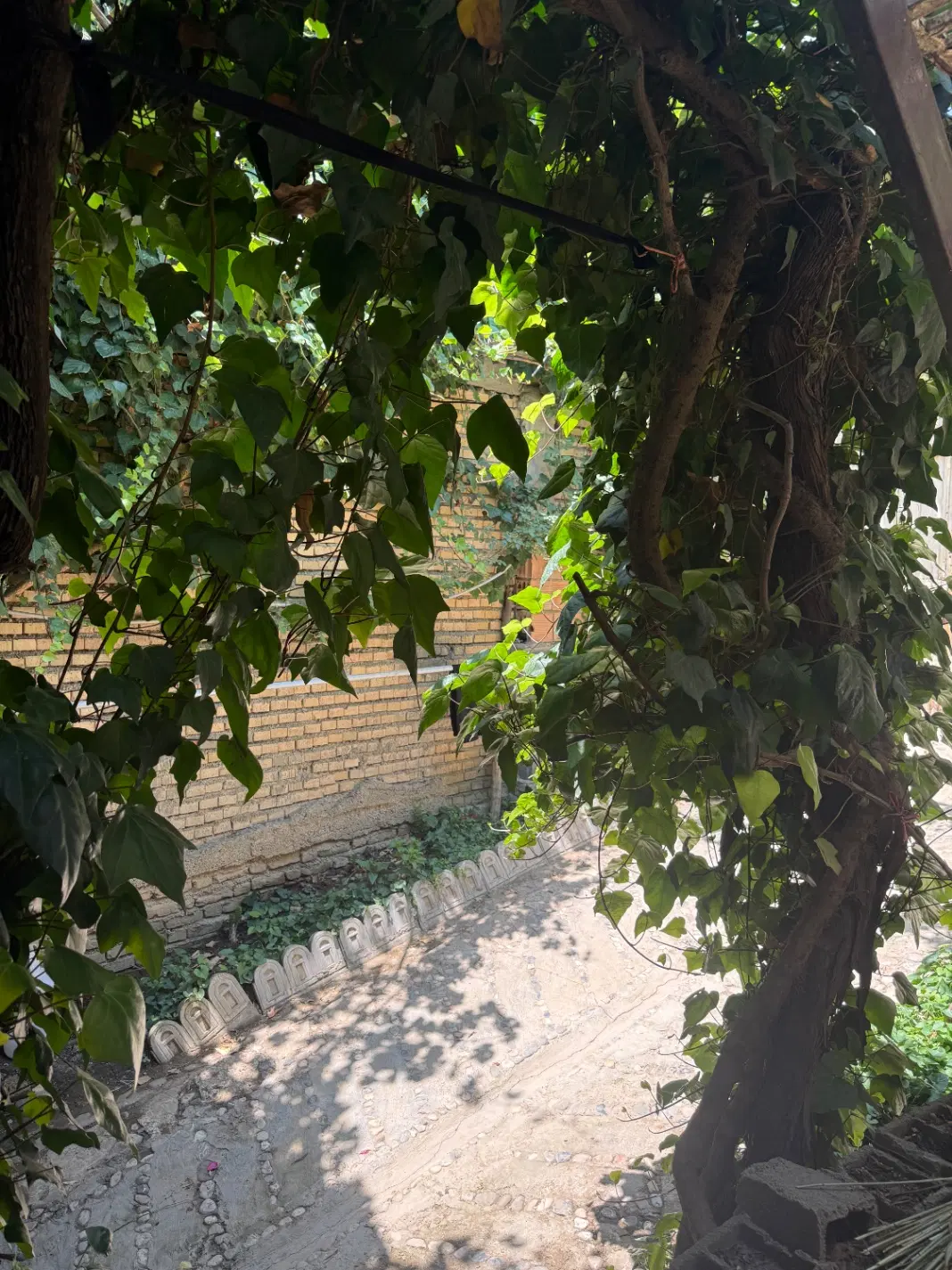 خونه و باغ کوهستانی در ارتفاعات مینودشت