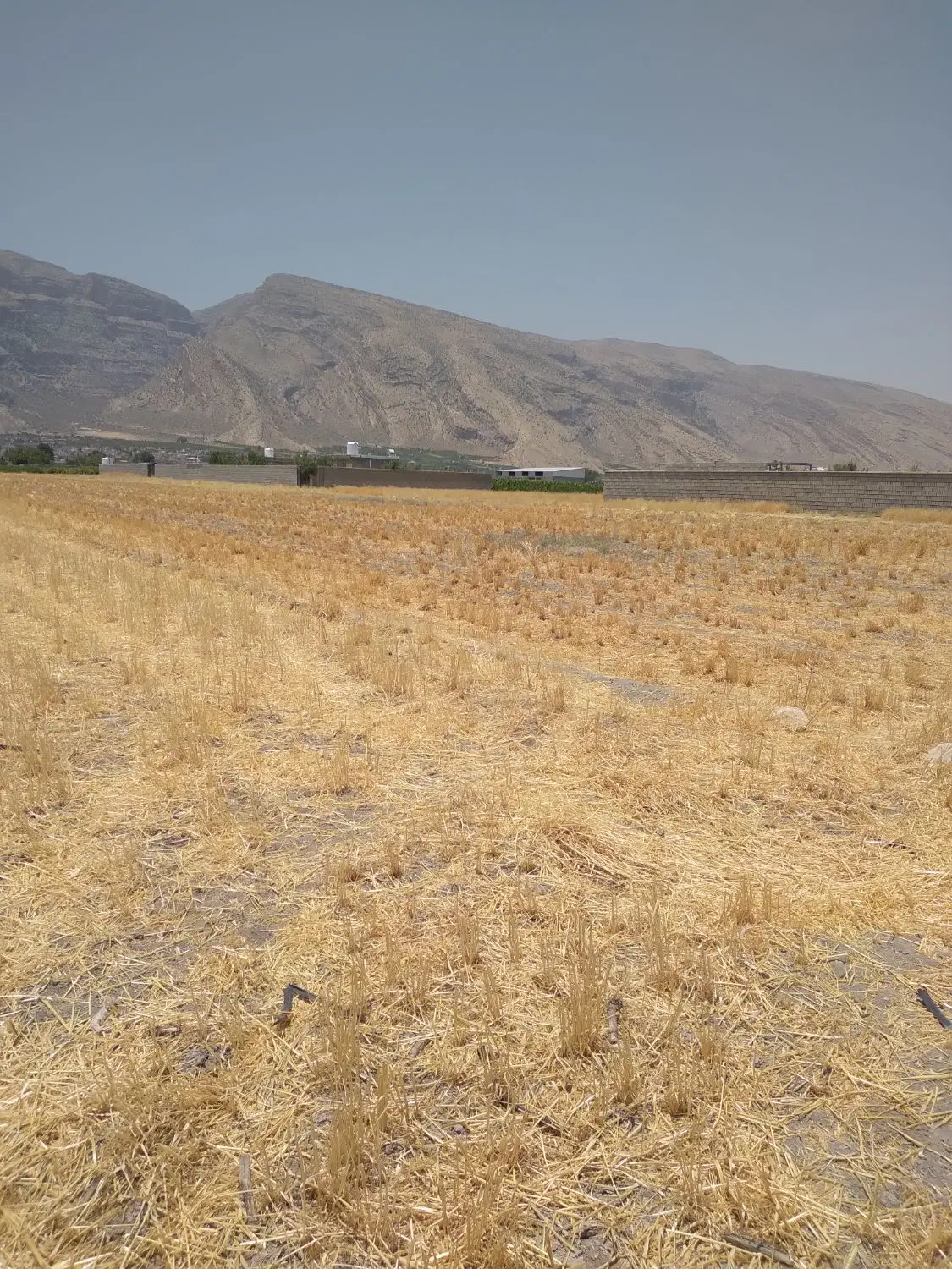 زمین واقع در کوشک بیدک