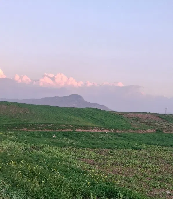 زمین کشاورزی