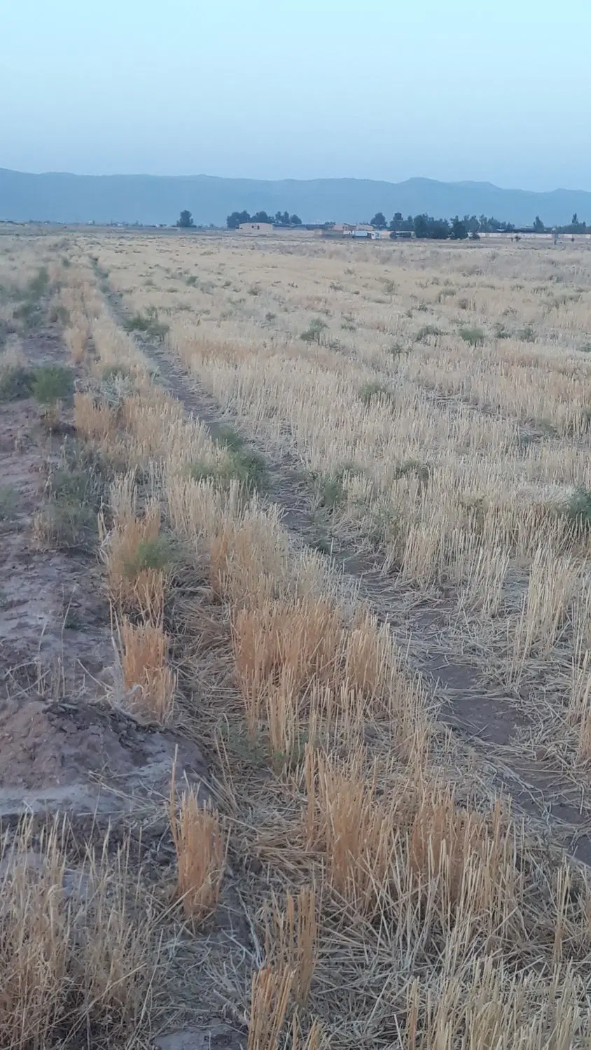 یک قطعه زمین بر کمربندی شیراز