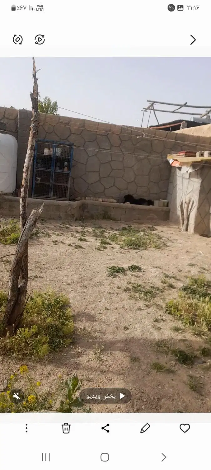 باغچه ۲۰۰متری اجاره