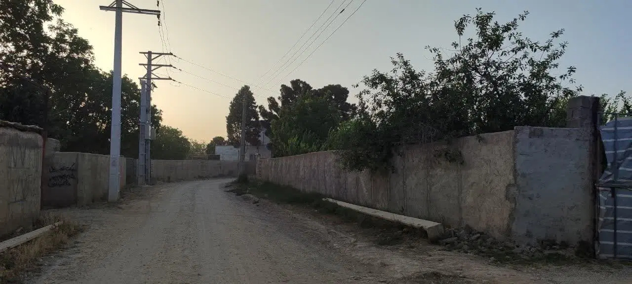باغ و باغچه