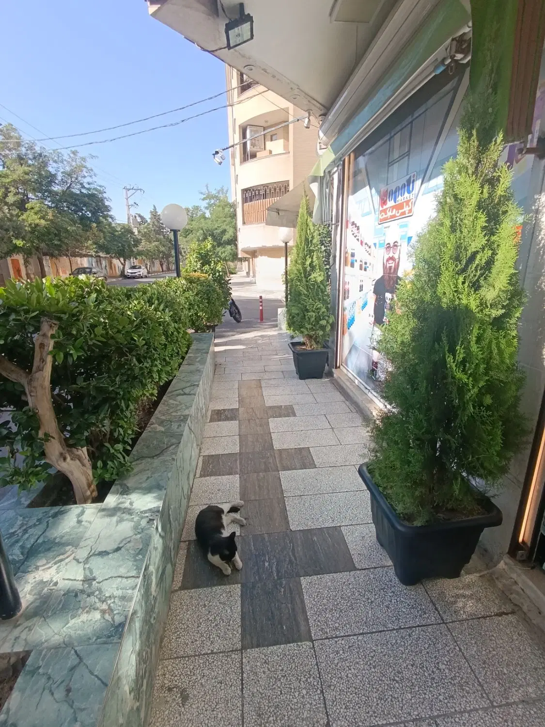 واکذاری سوپر مارکت لاکچری