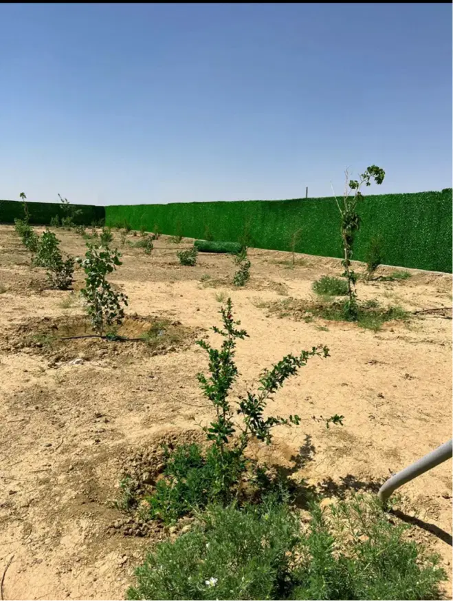 زمین مسکونی کشاورزی
