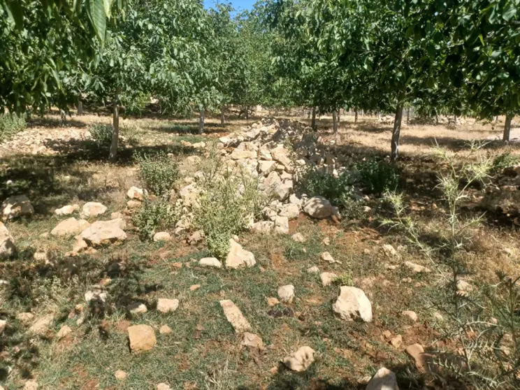 زمین سرحد ( دمه )
