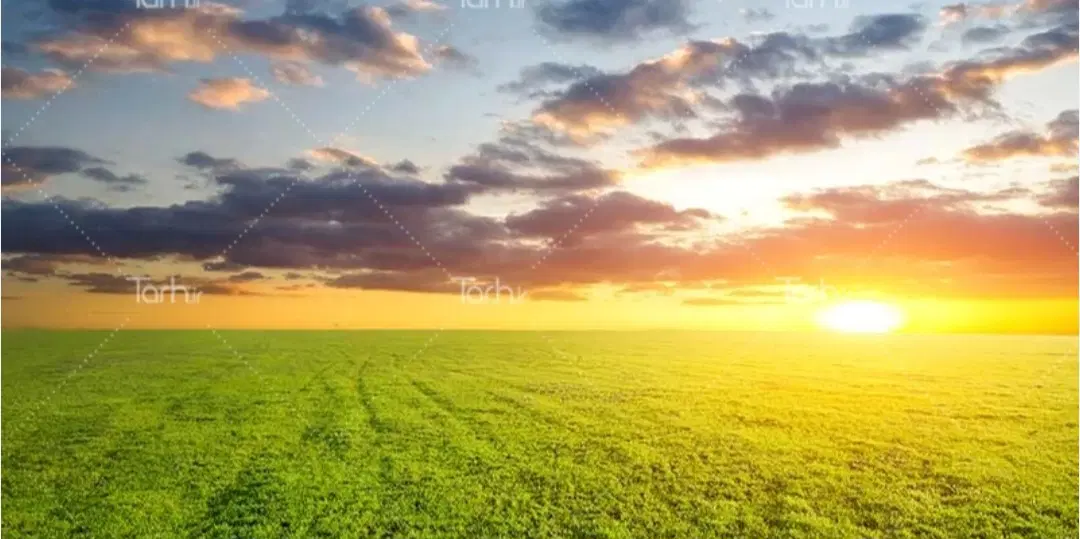 زمین برای باغ ویلا.