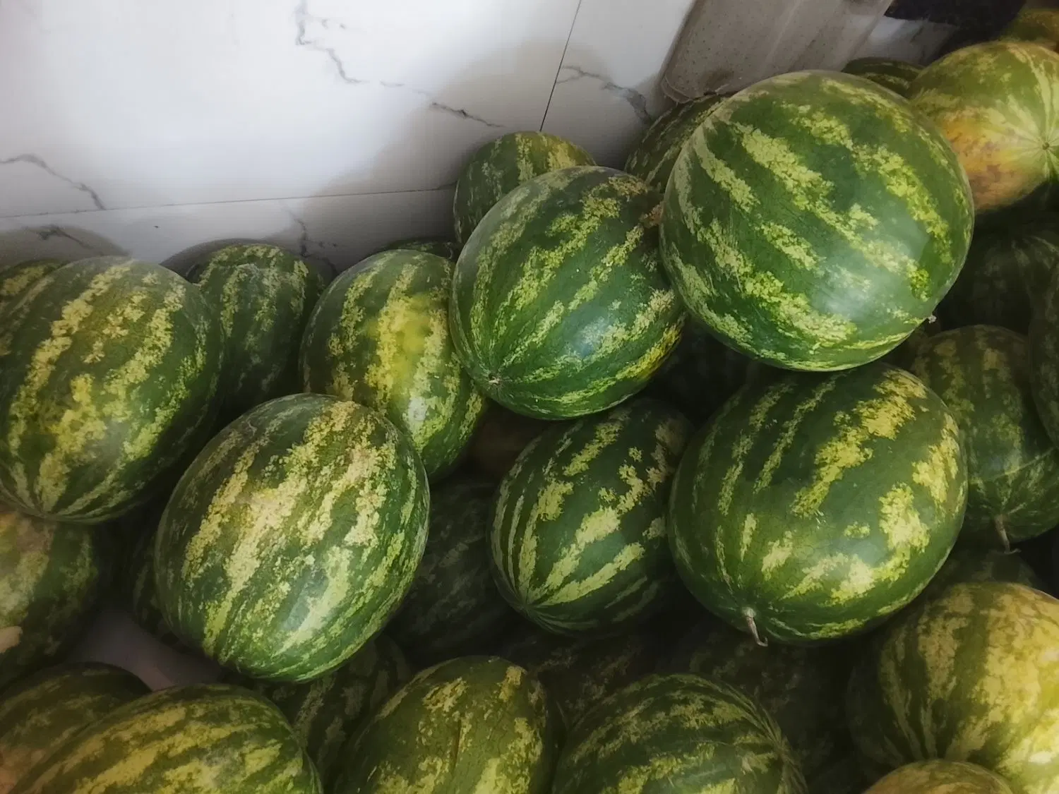 هندوانه درجه یک شرطی بالای ۷کیلو