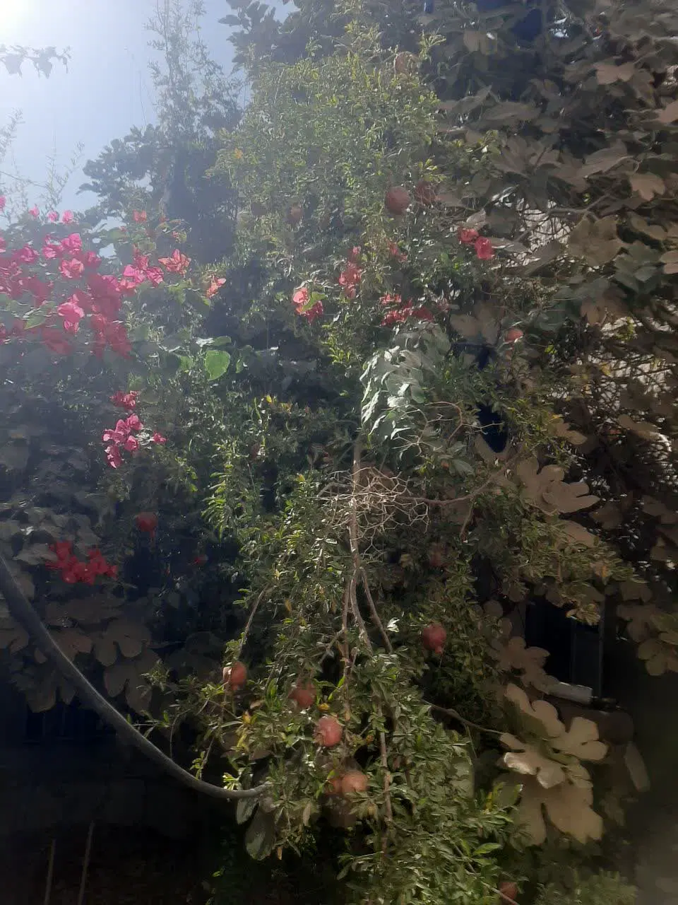 خانه ویلایی 170 متری نزدیک حرم
