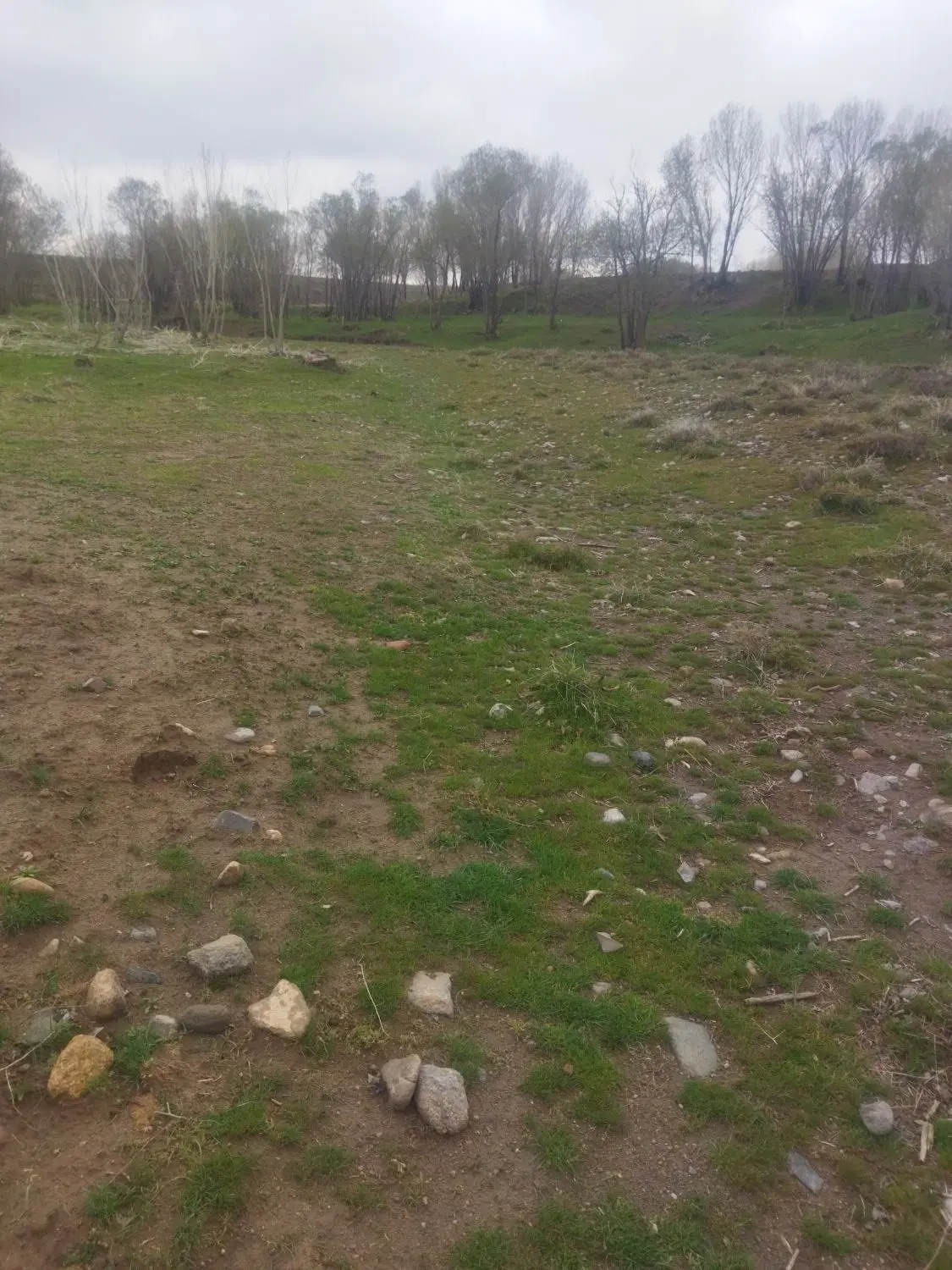 زمین در خیر اباد بستان اباد