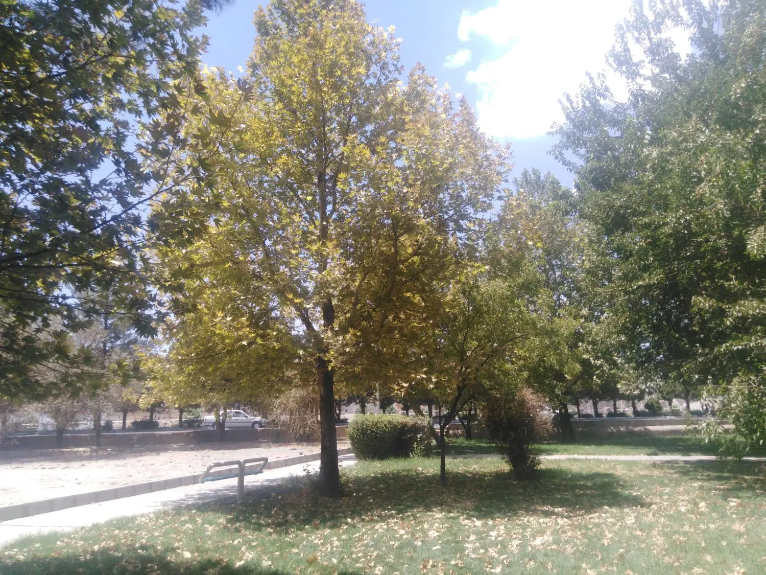 معاوضه زمین باماشین