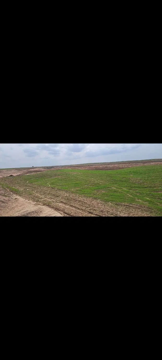 زمین کشاورزی