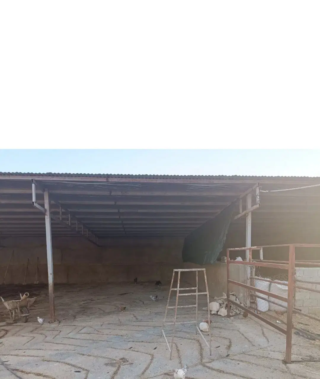 دامداری چاهسرخ زرقان