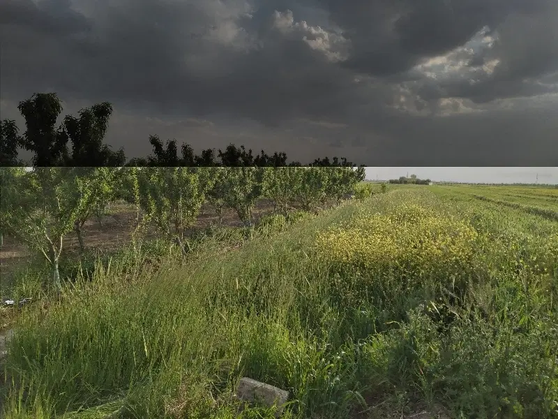 باغ و زمین باغ عمران