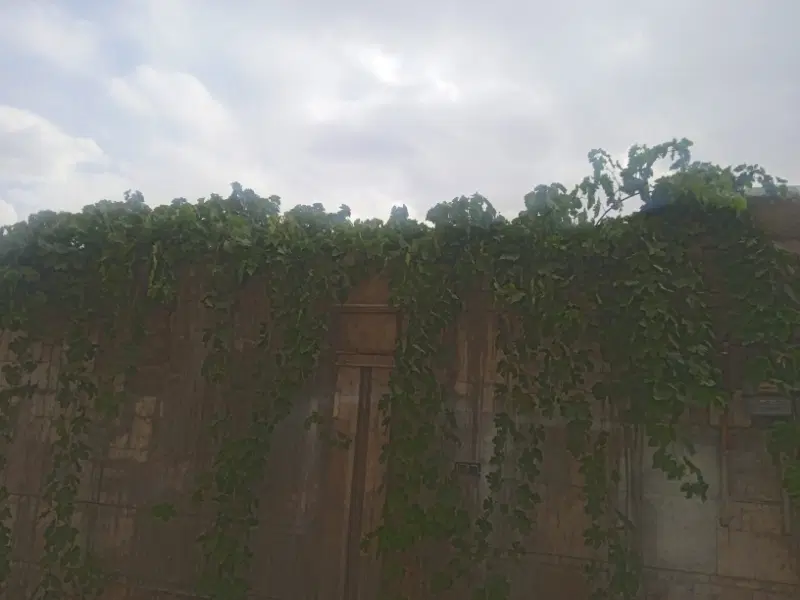 فروش باغ دراستانه اراک