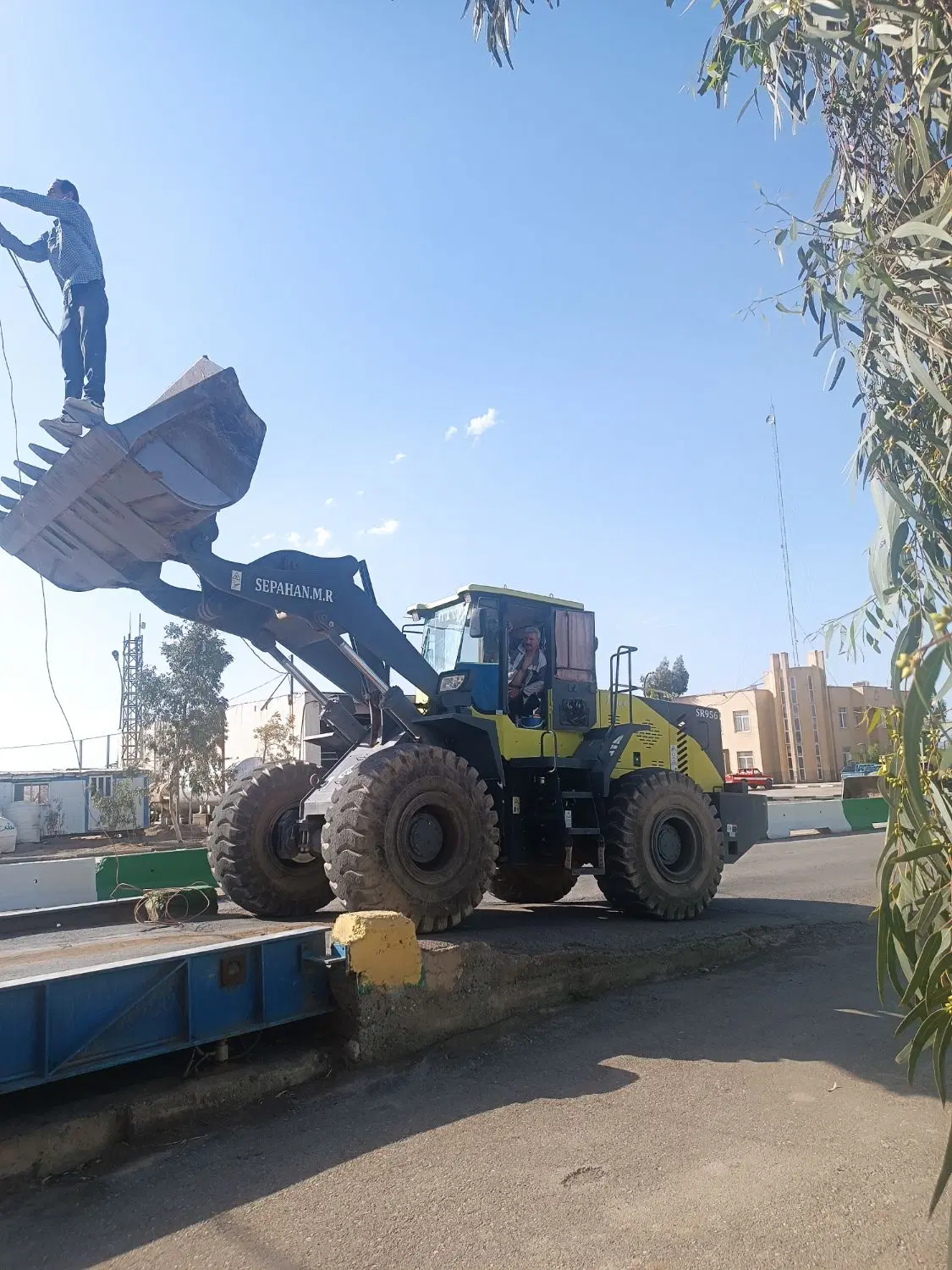 زمین چهار فرزندی