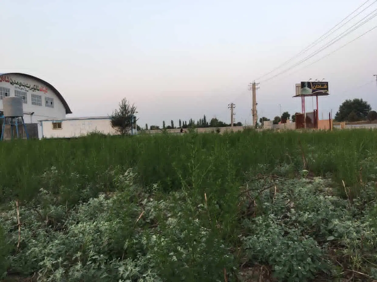 فروش زمین بر خط اصلی...