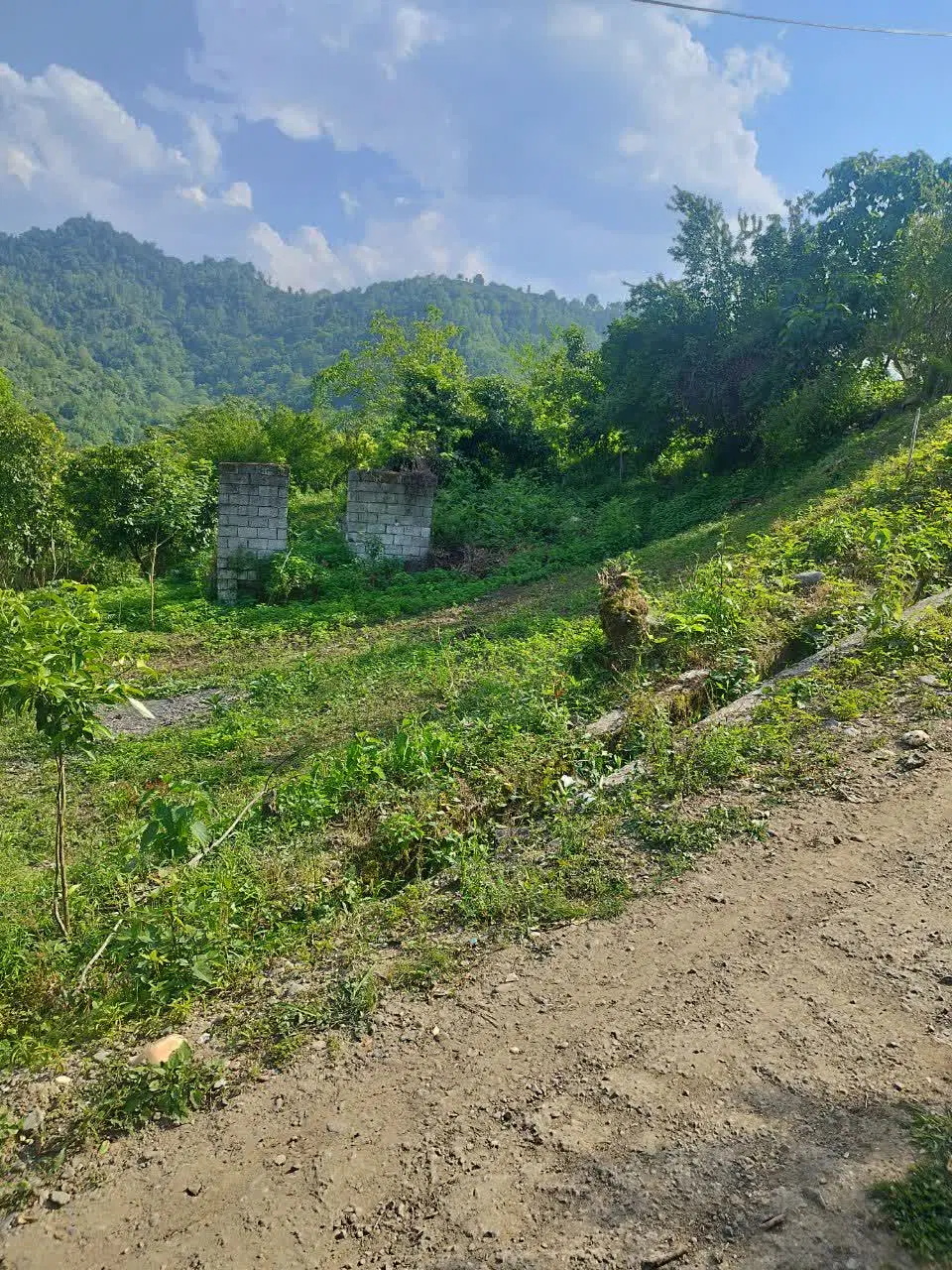 زمین کاملا مسکونی با مجوز به روز اطاقور