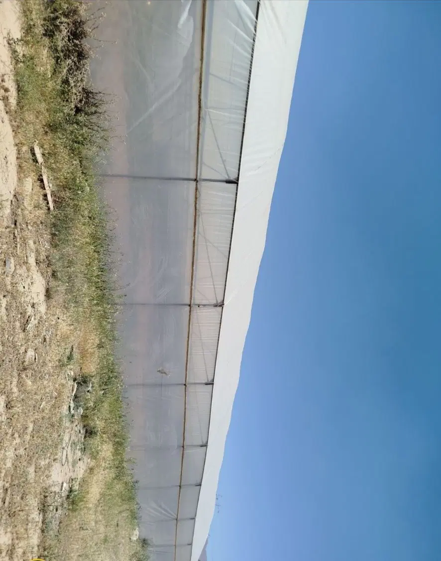 سازه گلخانه و متعلقاتش