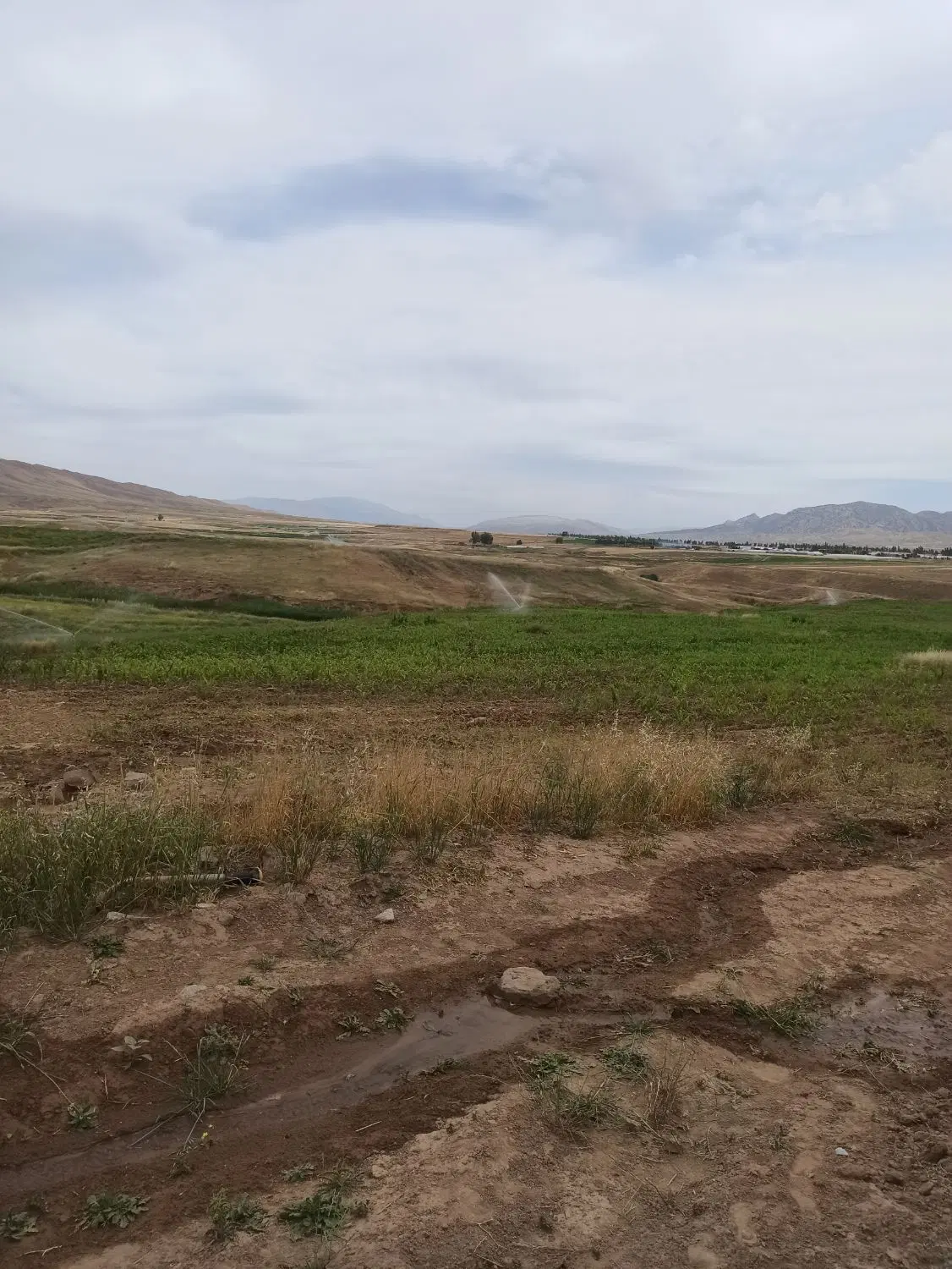 زمین کشاورزی