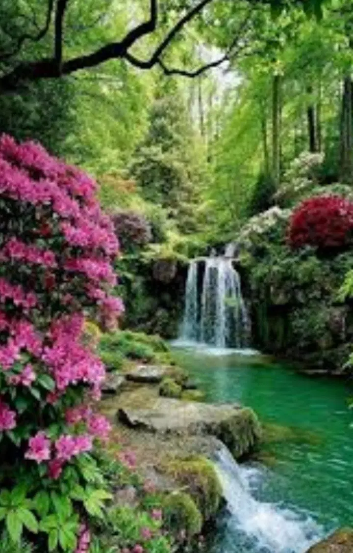 زمین شموشک۴۰۰متر