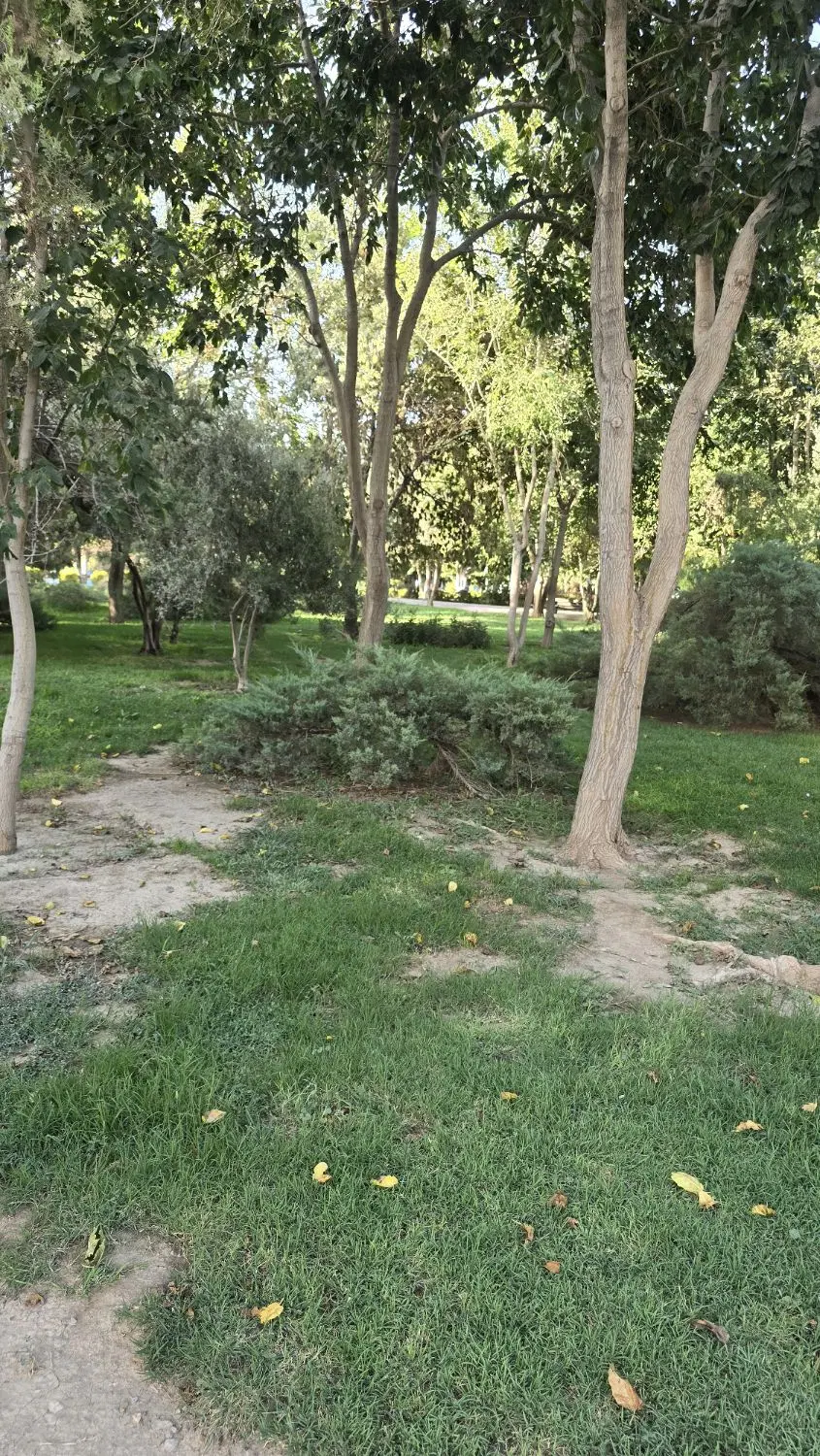 فروش چهار دیواری