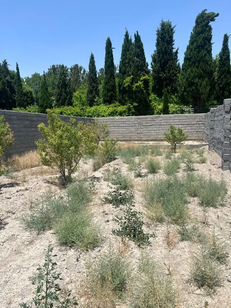 زمین باغی