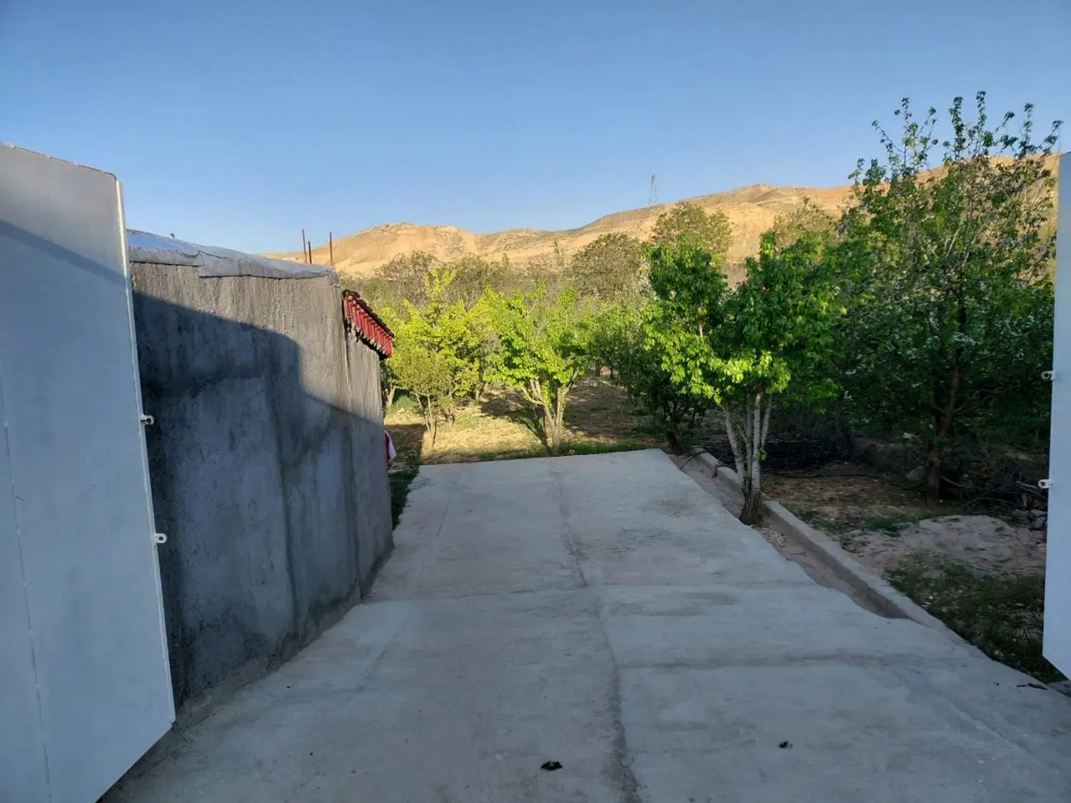 فروش باغ 800 متری روستای رشوانلو