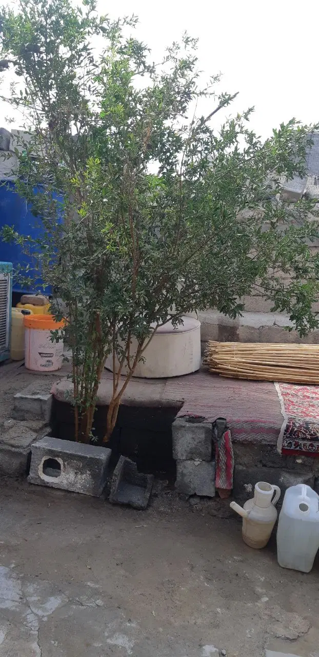 خانه در رسالت فروش فوری