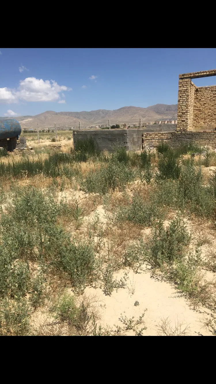 معاوضه باغ باواحد یاماشین