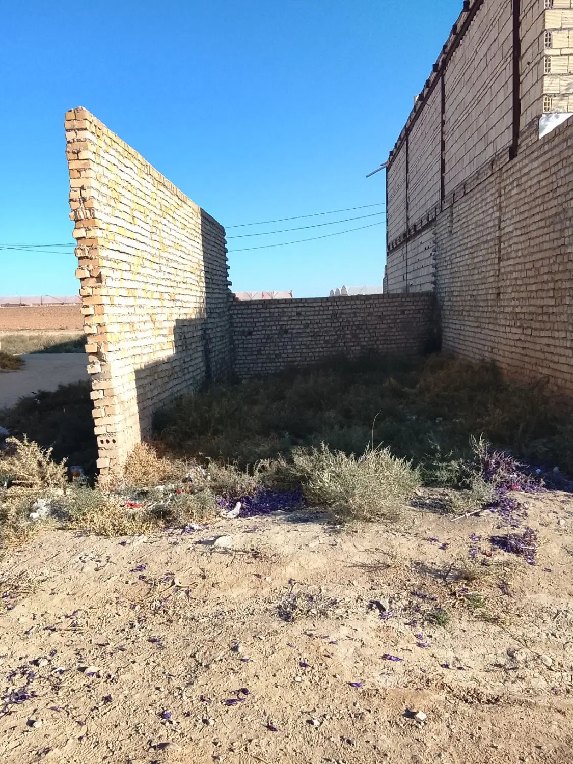 زمین دور دیوار 50متر