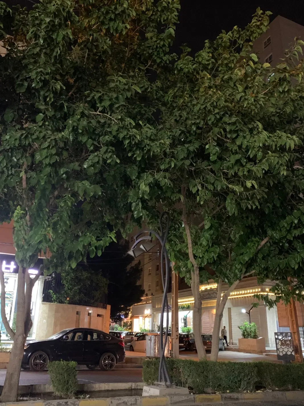 برج ونوس ملاصدرا