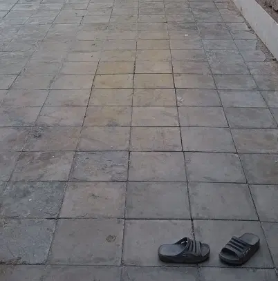 10 قصب کلنگی مرکز شهر