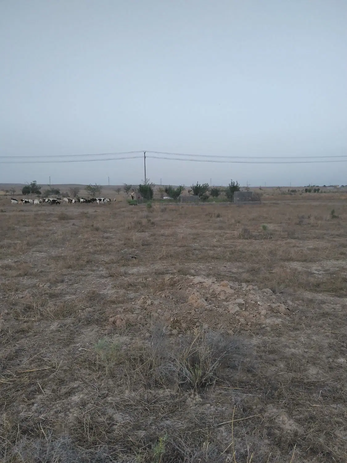 زمین باغچه ای ۲۲۵ متری