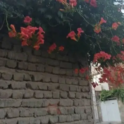 فروش منزل قدیمی
