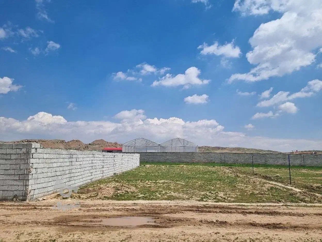 زمین (مناسب باغ و ویلا)