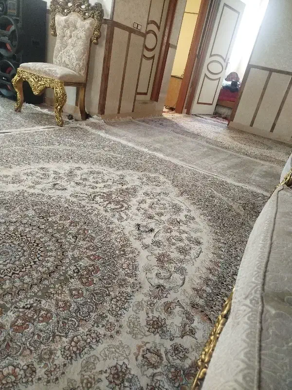 همخونه هم خانه