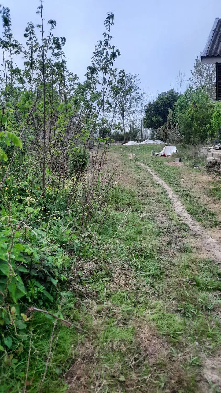 خونه ویلایی فومن