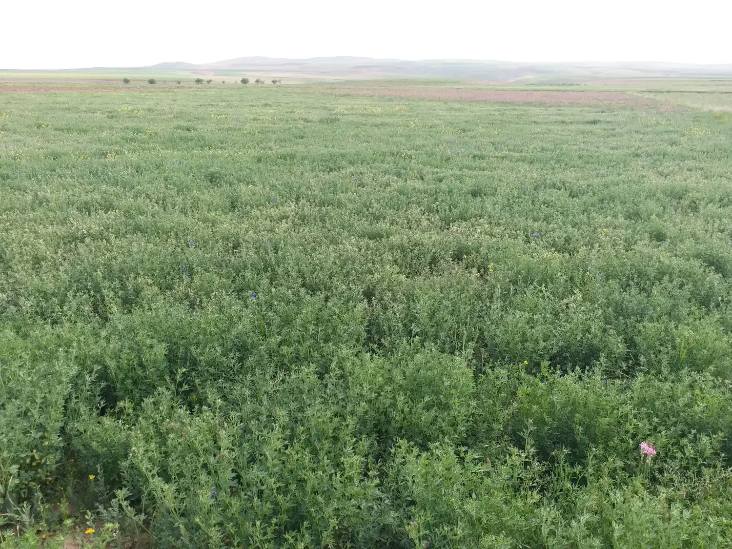 زمین درروستای خوش آب و هوای النجق
