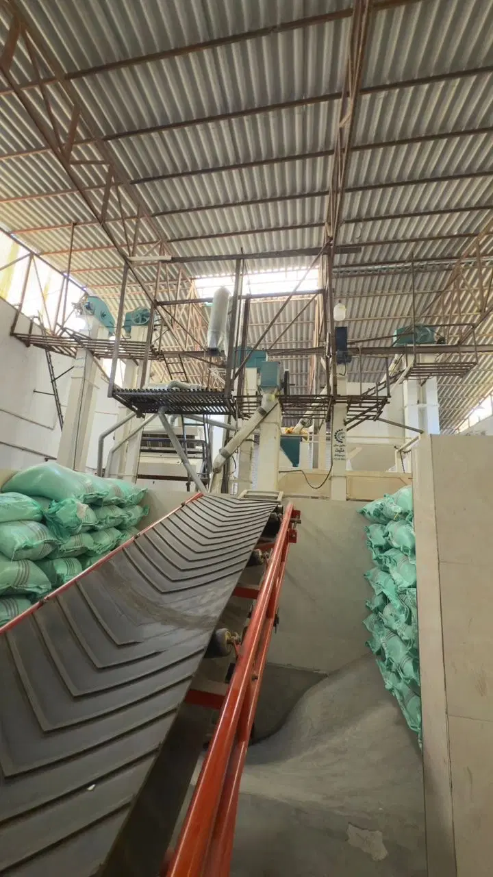 سورتینگ برنج