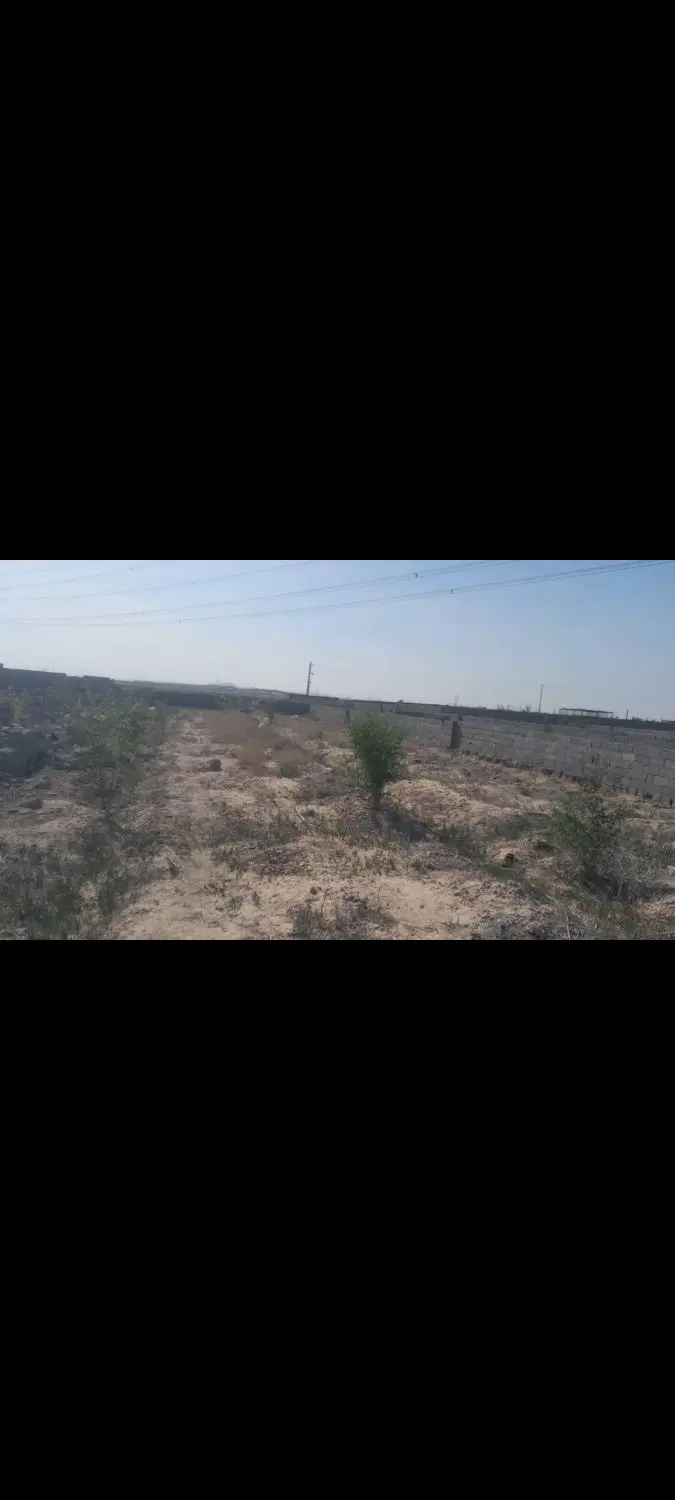 زمین باغ