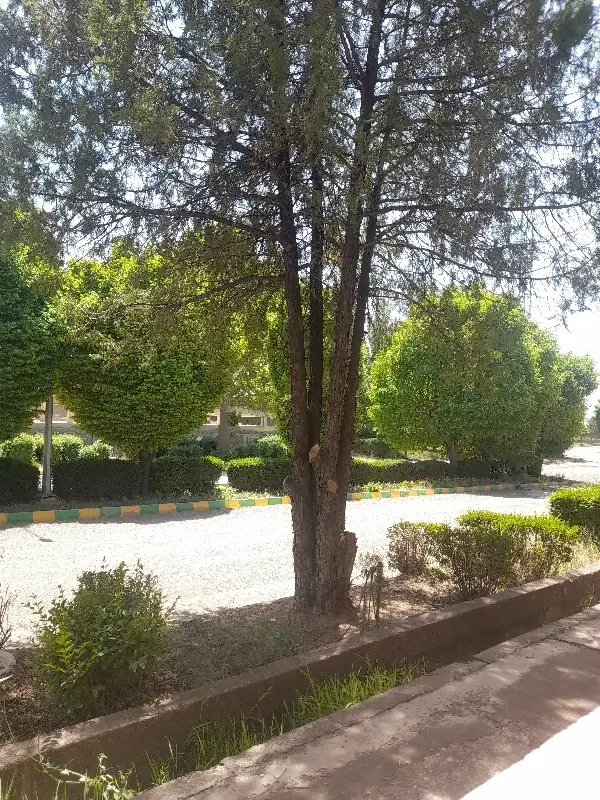 فیش علوم پزشکی