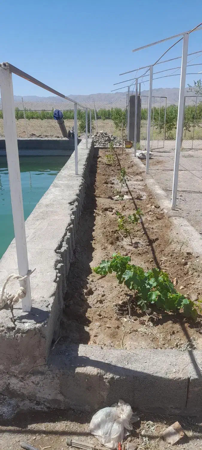 باغ ویلا دشت بجد