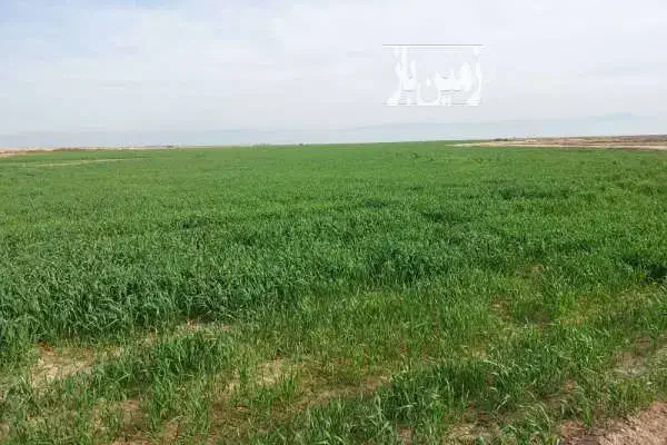 فروش زمین ویلایی ۱۰۰۰ متری
