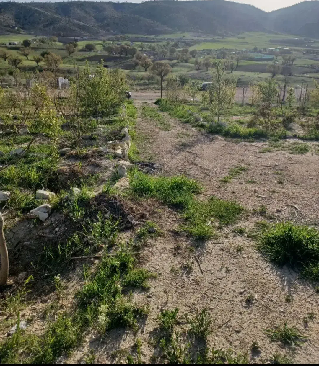 زمینی به متراژ240
