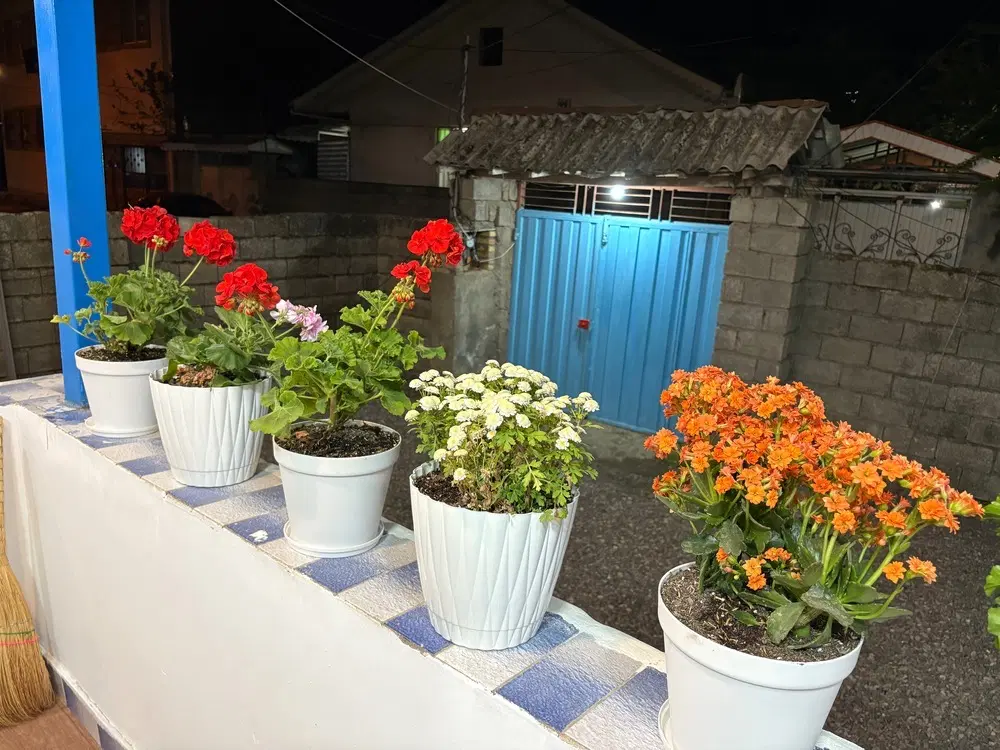 اجاره روزانه ویلا