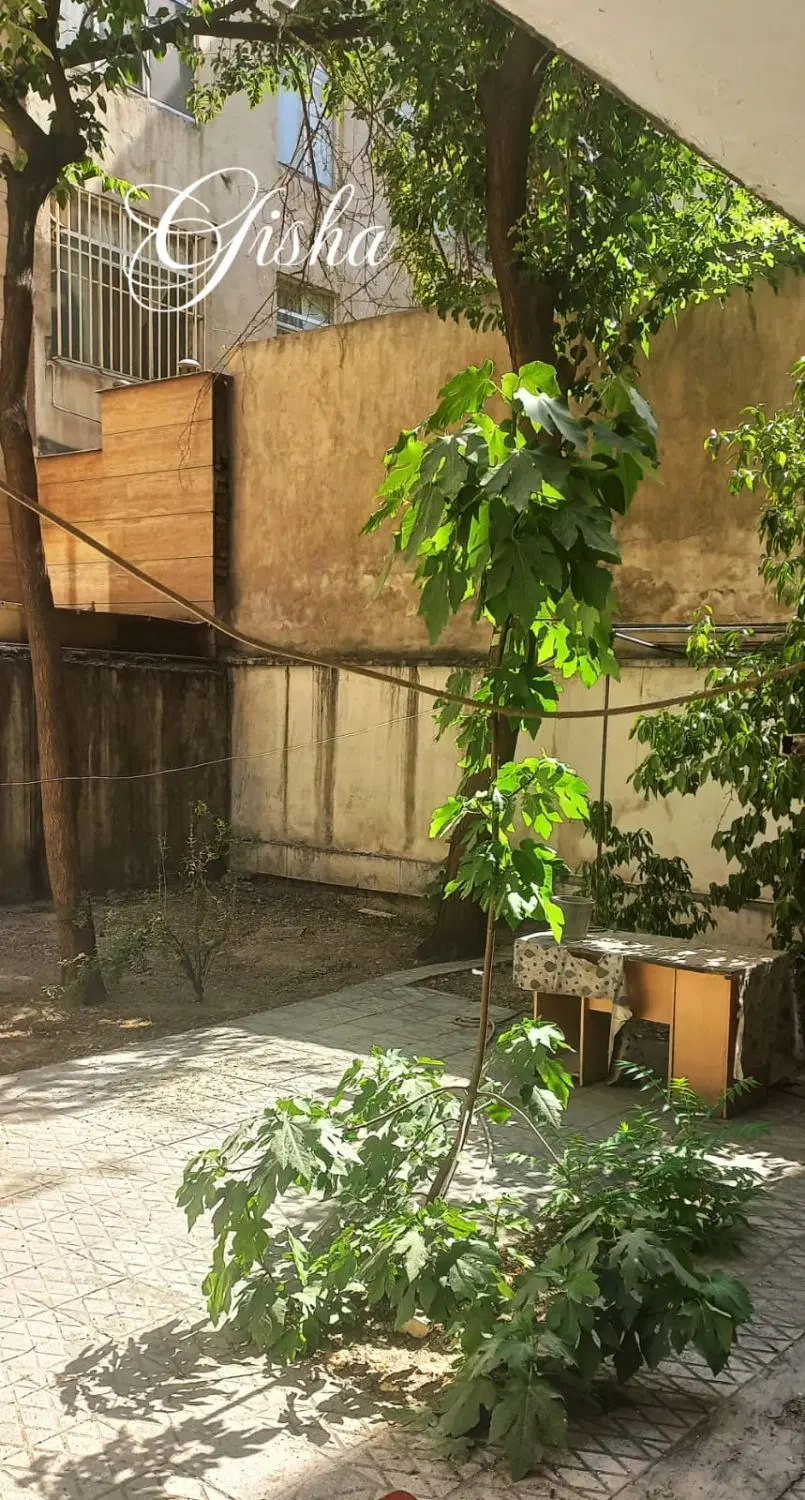 هم‌خونه خانم در منطقه ۲ تهران