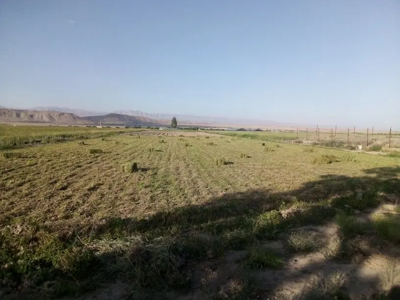 زمین سند شش دانگ عرصه واعیان به فروش می‌رسد