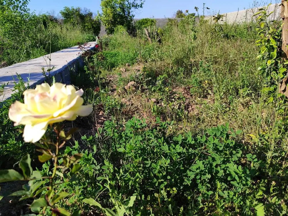 باغ ۱۵۰۰ متری شمس آباد