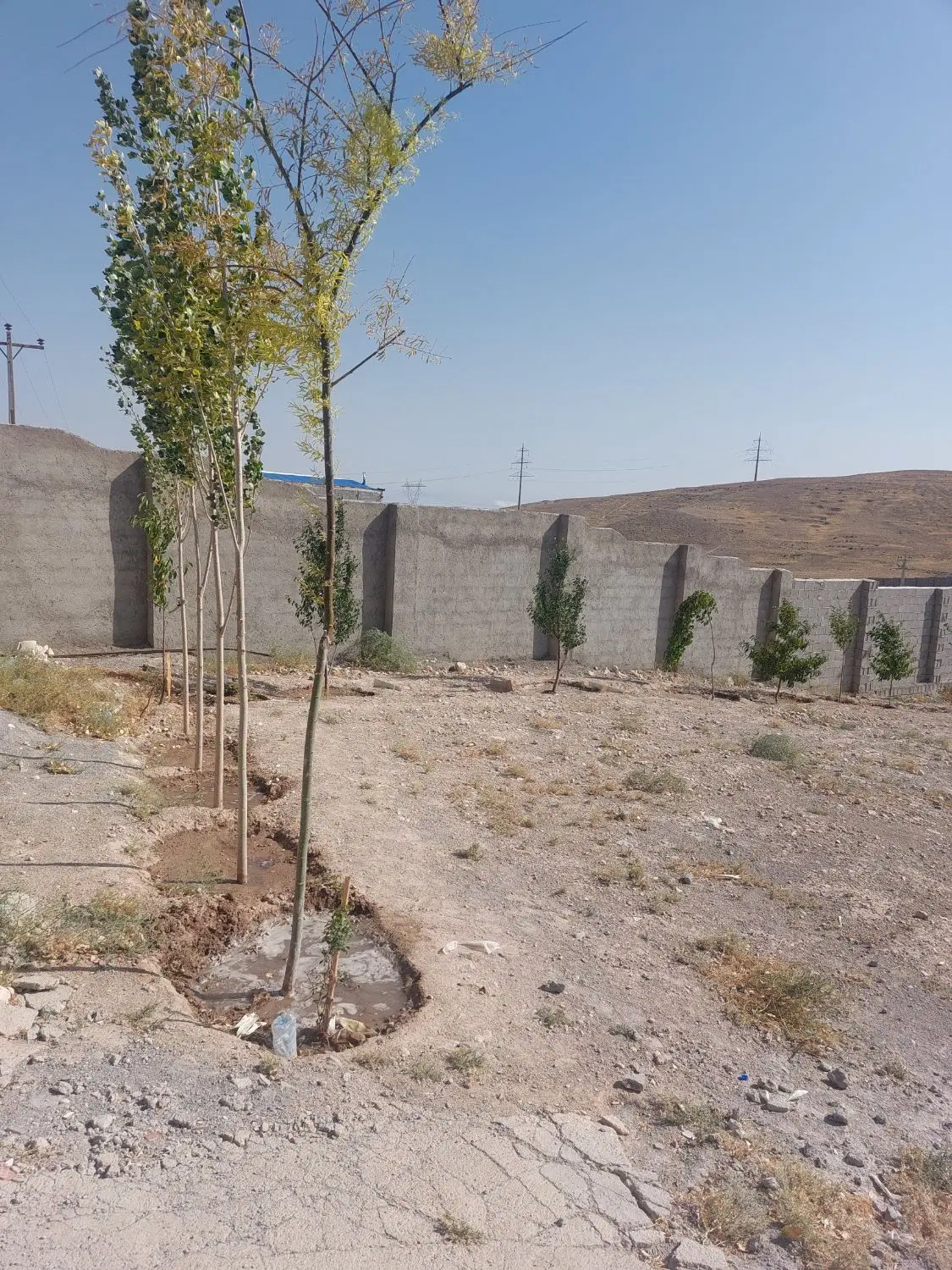 زمین حصار کشی شده با خانه باغ